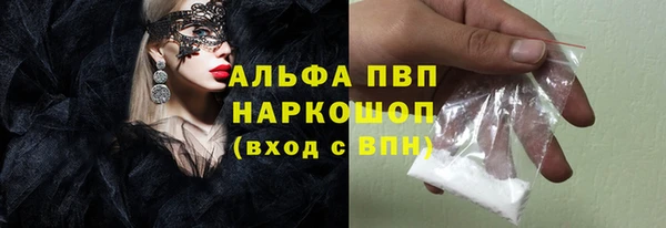 стаф Осташков