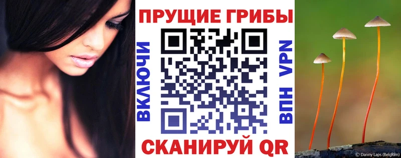 Галлюциногенные грибы мицелий Гаврилов-Ям